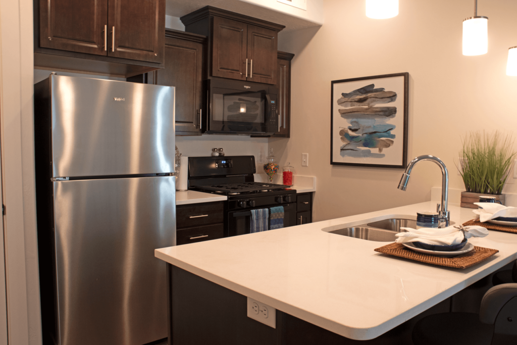 Kitchen in a 1bd 1ba apartment